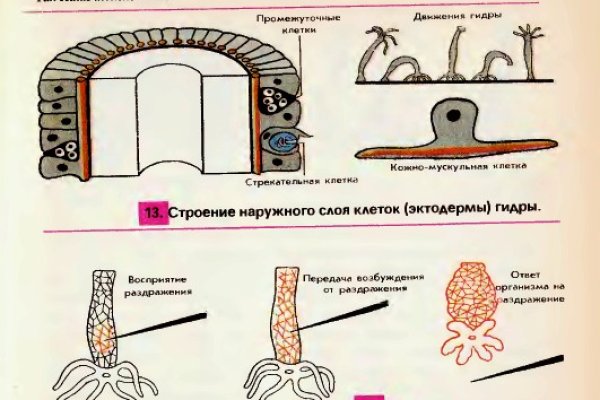 Рабочая ссылка на кракен